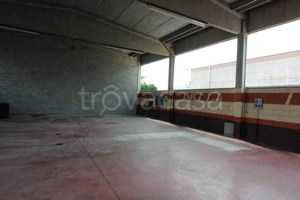 immagine annuncio 6 di 13