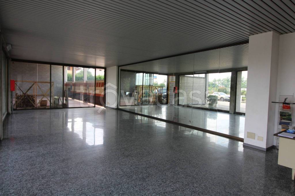 immagine annuncio 12 di 13