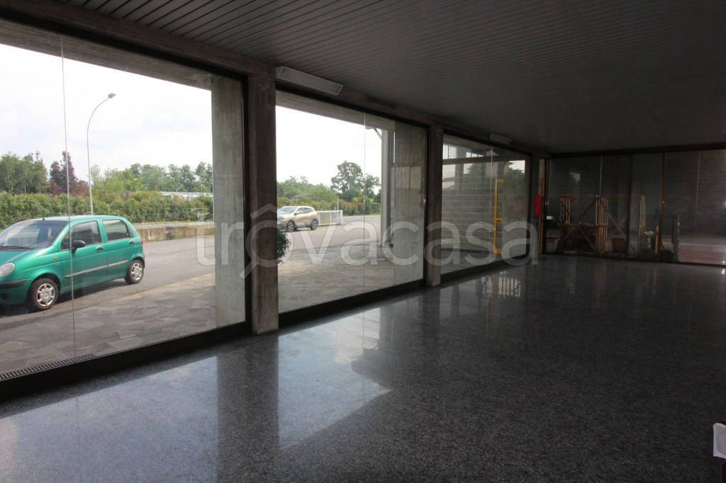 immagine annuncio 3 di 13