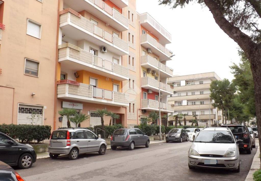 immagine annuncio 1 di 13