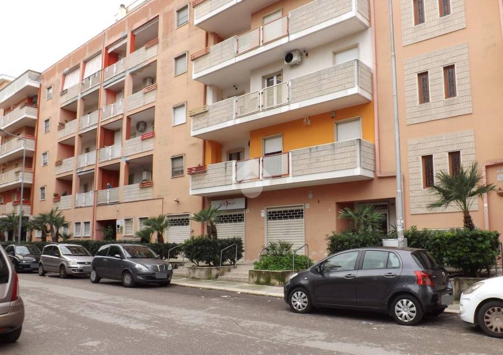 immagine annuncio 2 di 13