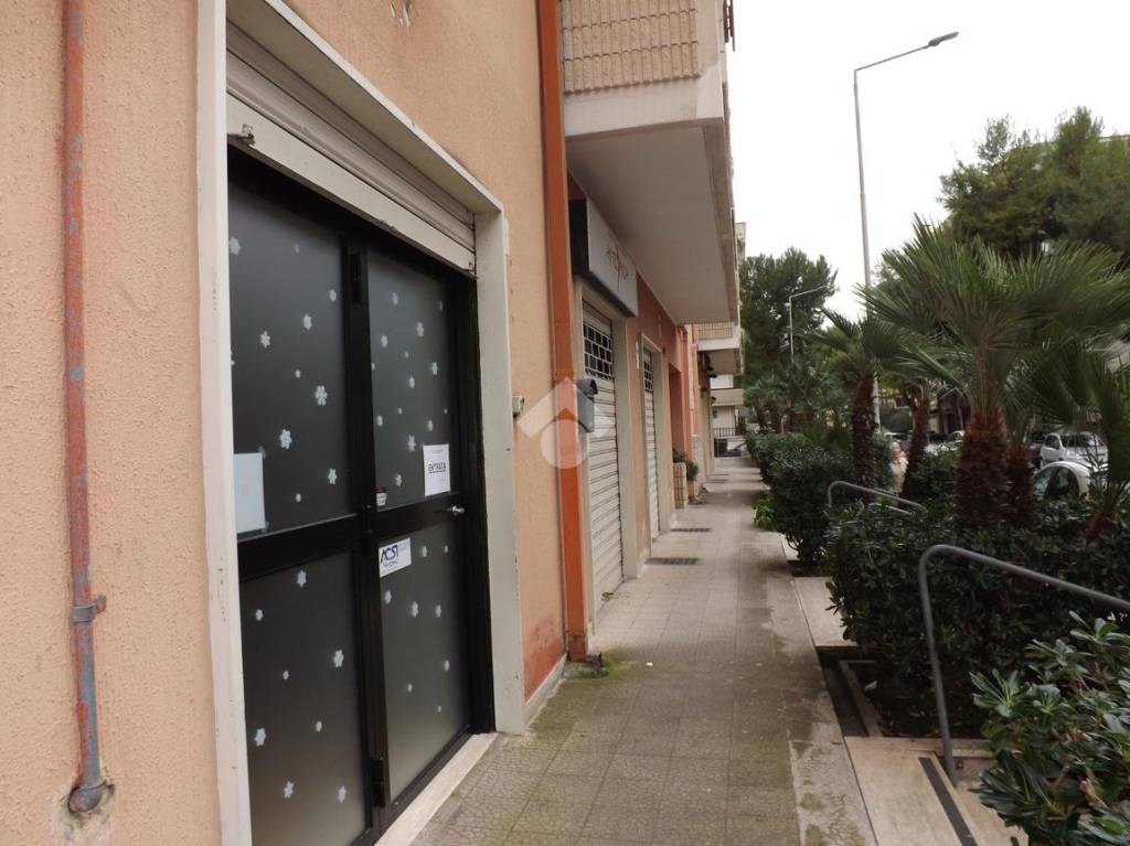 immagine annuncio 12 di 13