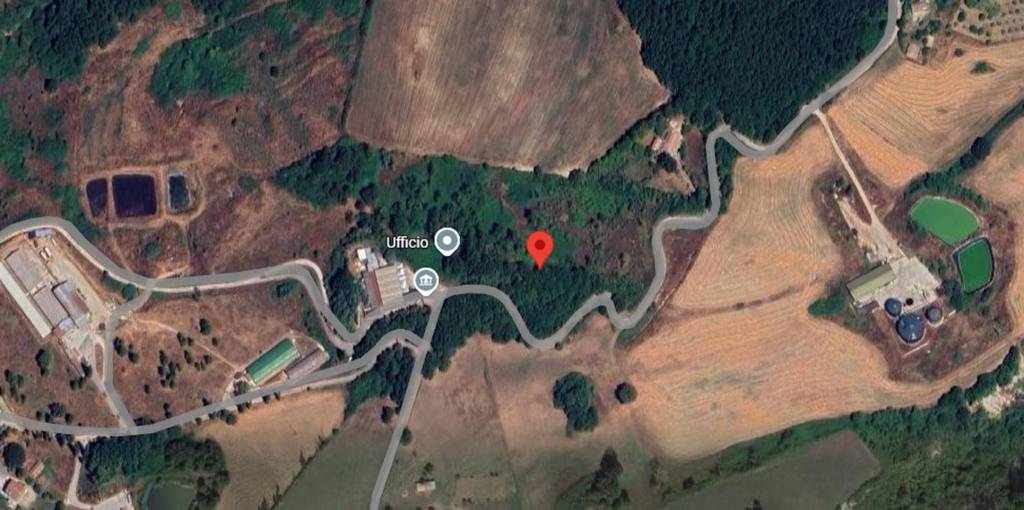 immagine annuncio 2 di 11