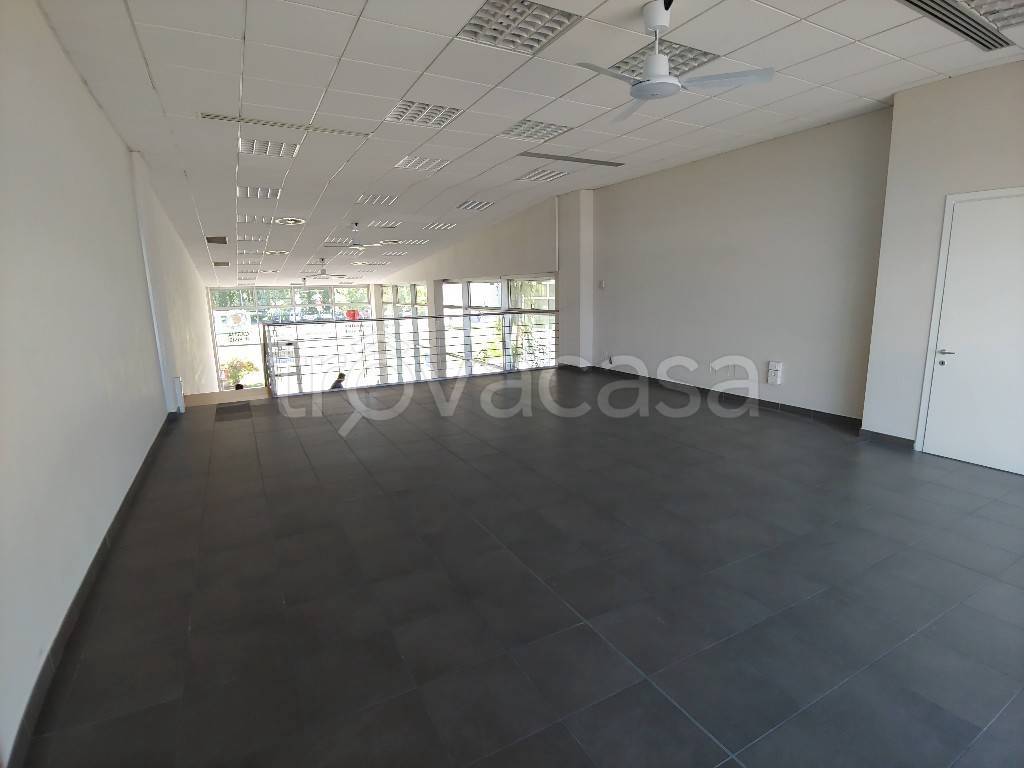 immagine annuncio 1 di 2