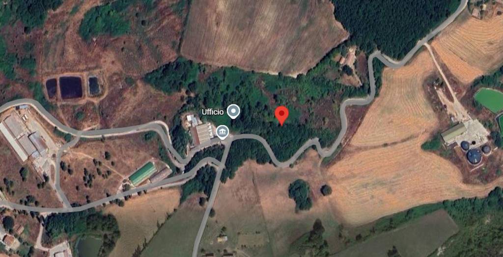 immagine annuncio 3 di 11