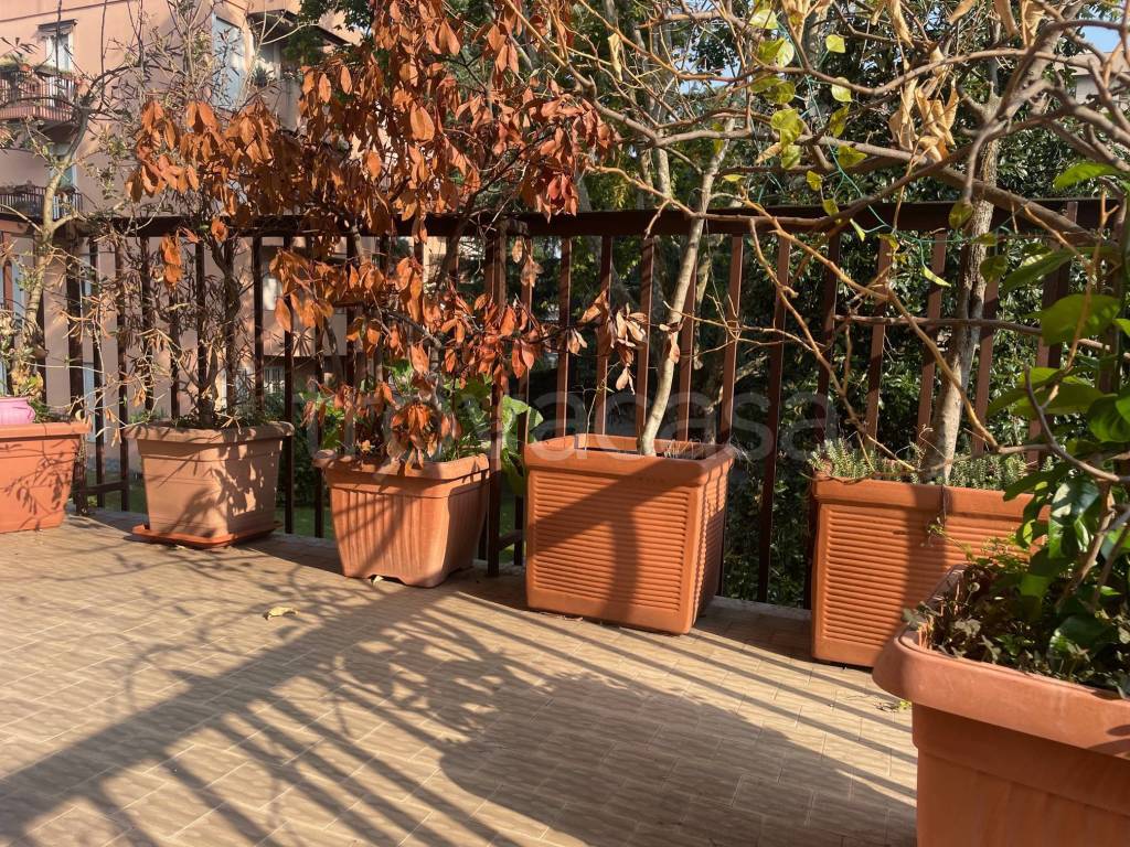 immagine annuncio 8 di 15