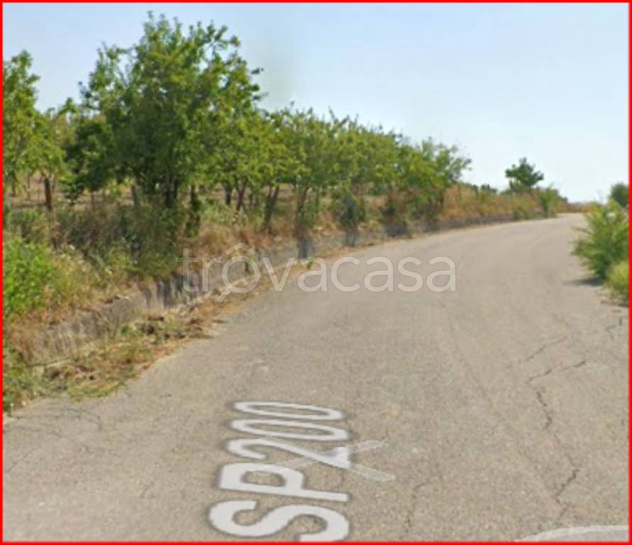 immagine annuncio 8 di 12