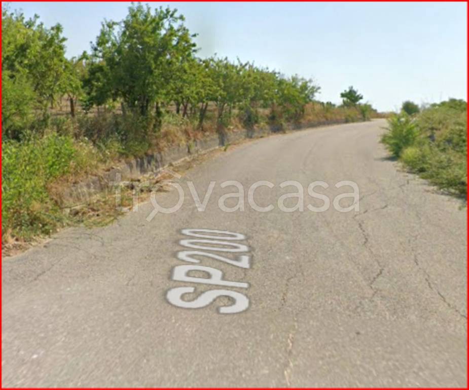 immagine annuncio 9 di 12