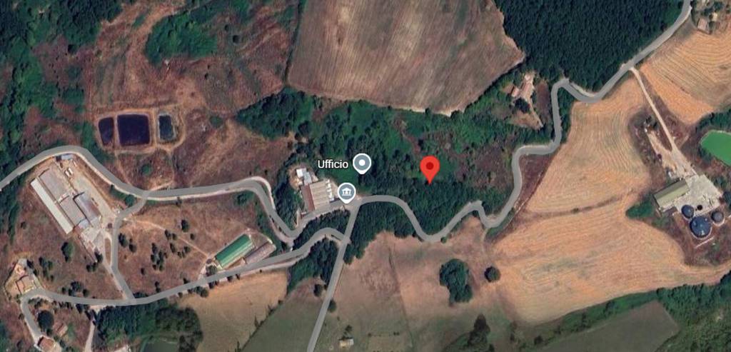 immagine annuncio 9 di 11