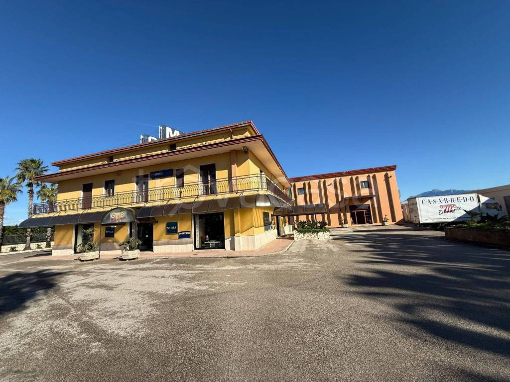 immagine annuncio 2 di 8