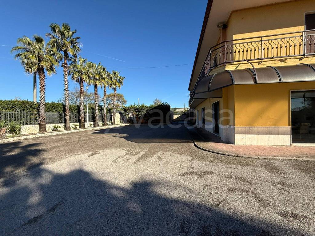 immagine annuncio 3 di 8