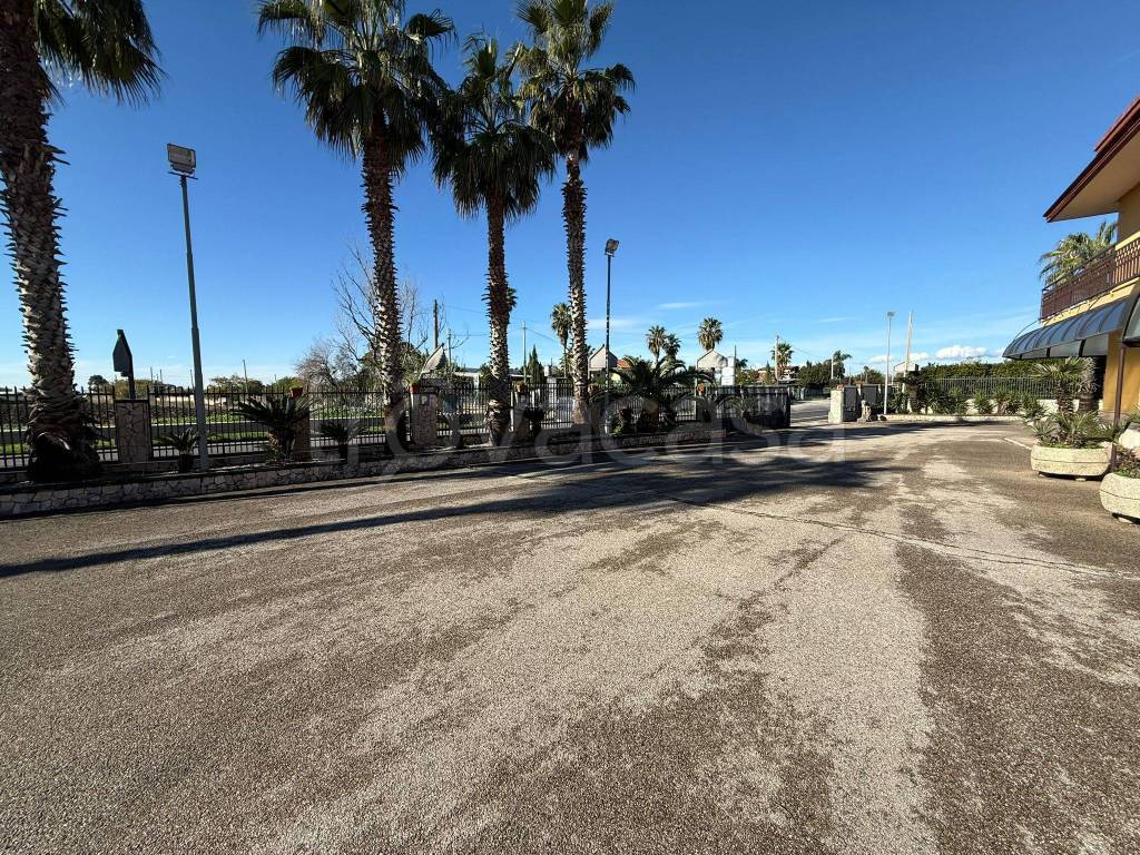 immagine annuncio 6 di 8