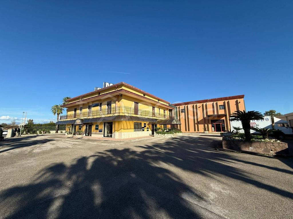 immagine annuncio 4 di 8