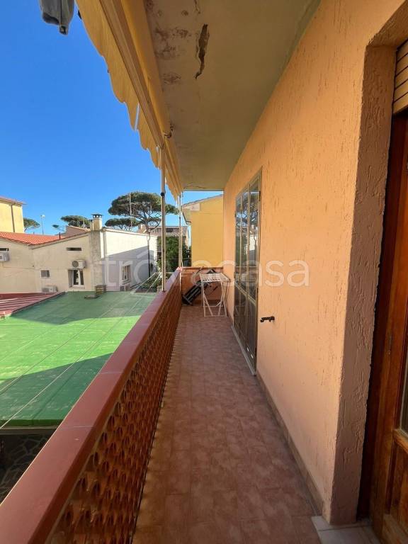 immagine annuncio 9 di 13