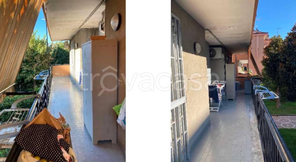 immagine annuncio 12 di 14