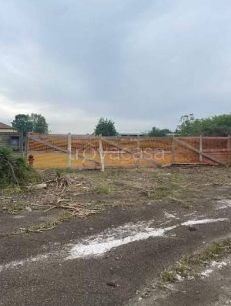 immagine annuncio 3 di 9