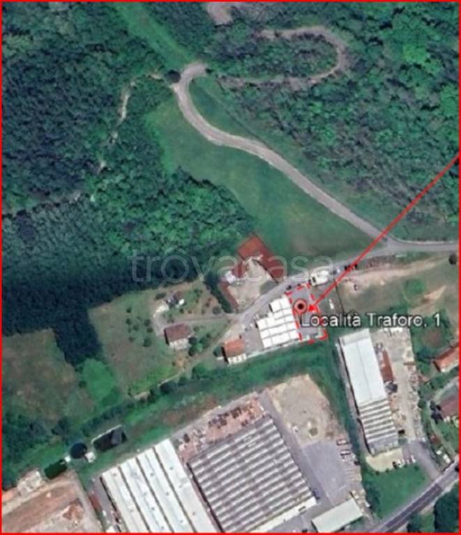 immagine annuncio 11 di 12