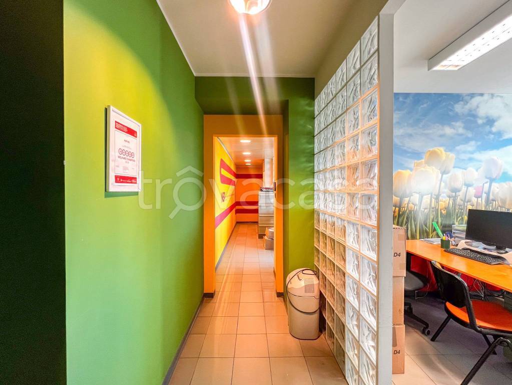 immagine annuncio 3 di 14