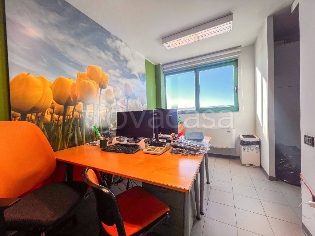 immagine annuncio 8 di 14