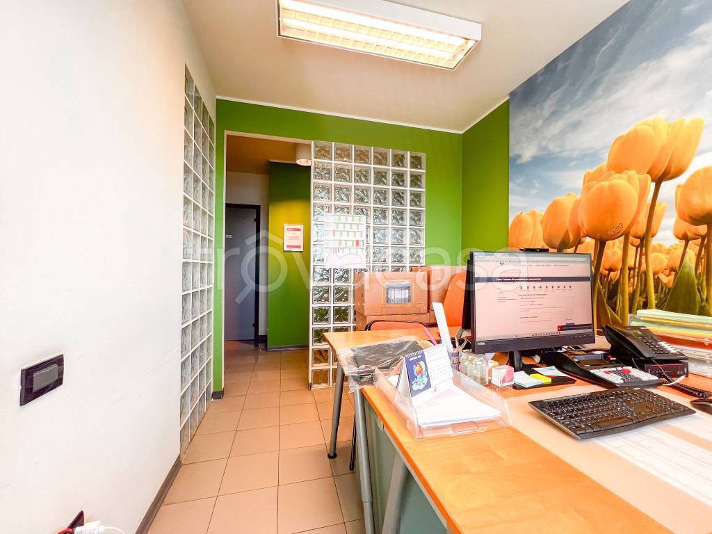 immagine annuncio 5 di 14