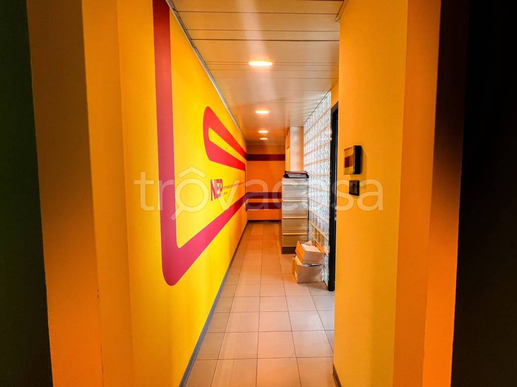 immagine annuncio 7 di 14