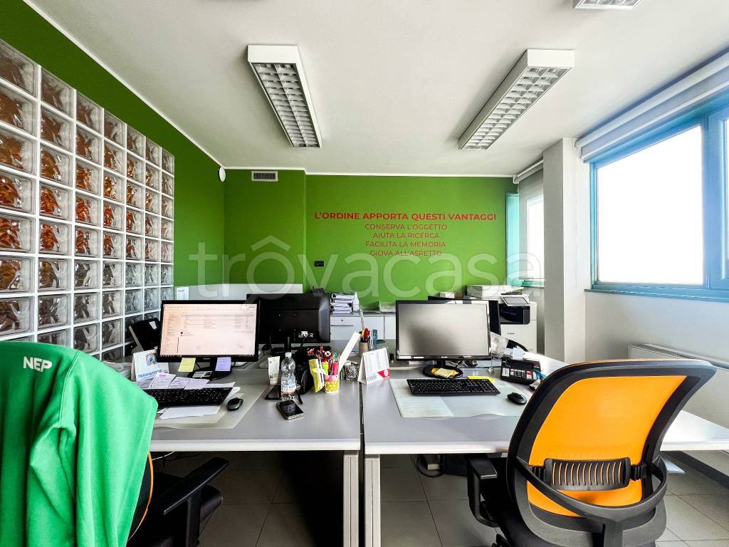 immagine annuncio 4 di 14