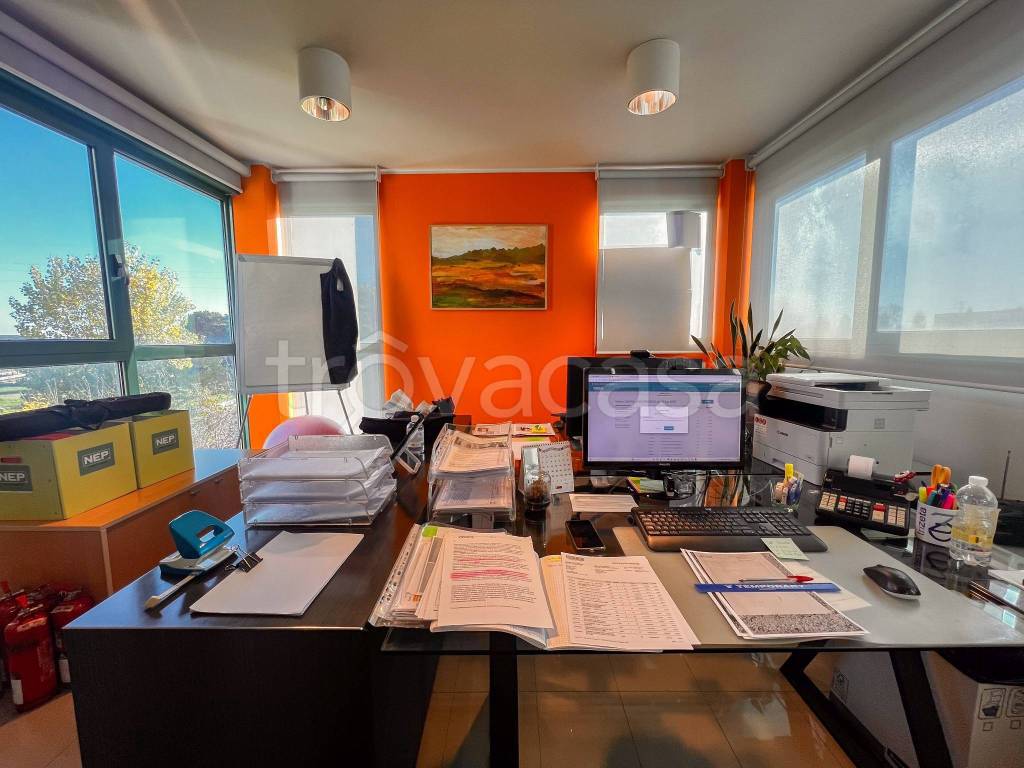 immagine annuncio 1 di 14