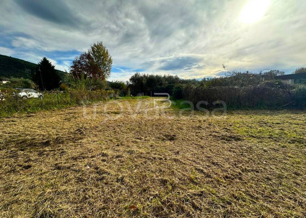 immagine annuncio 1 di 3