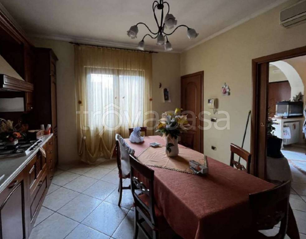 immagine annuncio 5 di 12