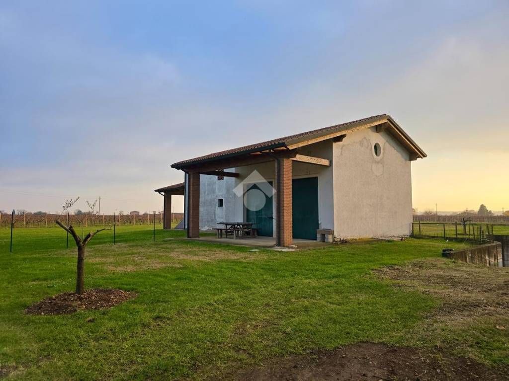 immagine annuncio 2 di 15