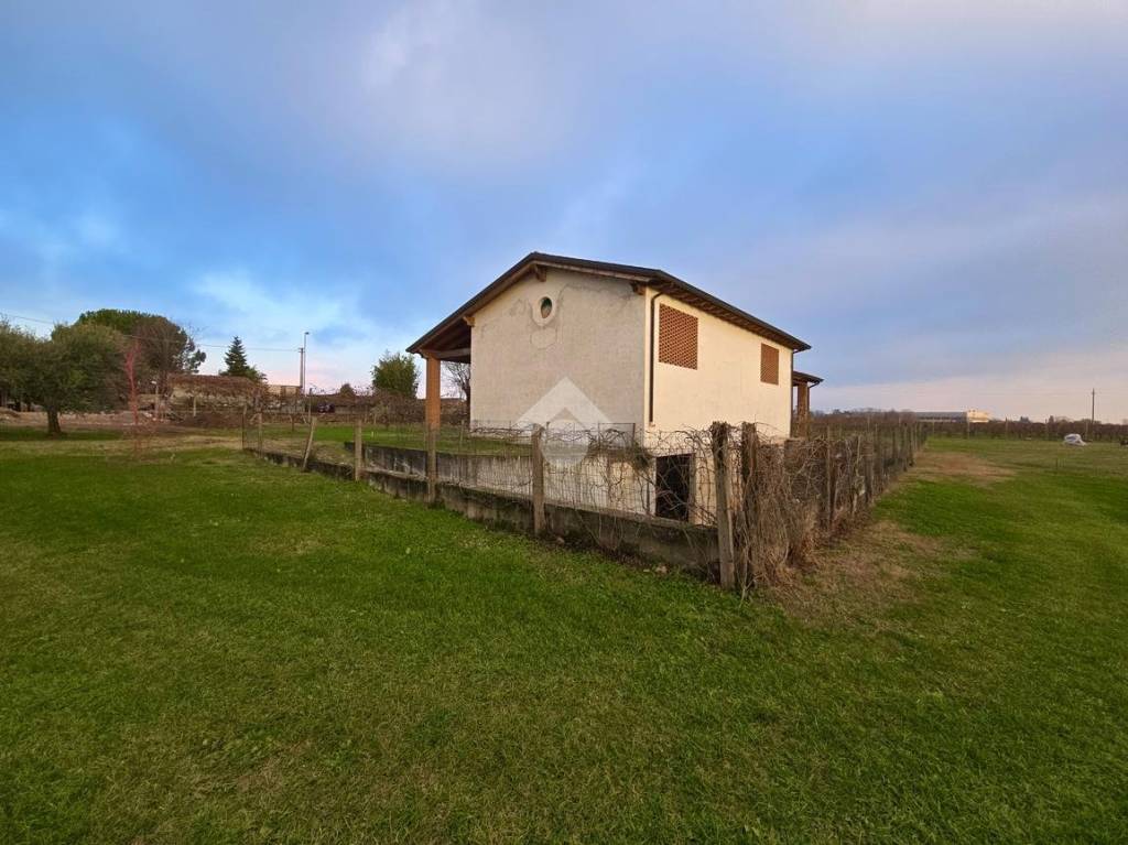 immagine annuncio 8 di 15