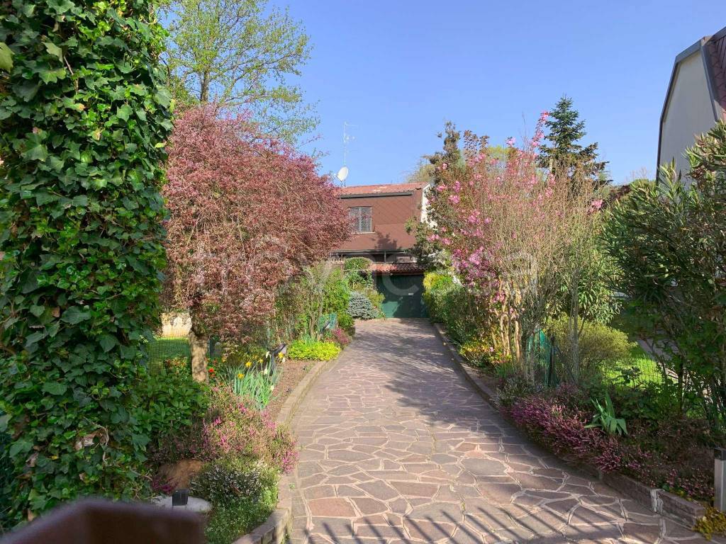 immagine annuncio 9 di 15