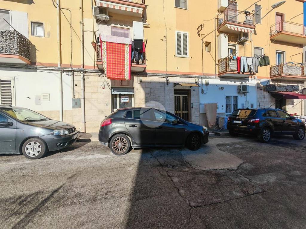 immagine annuncio 10 di 11