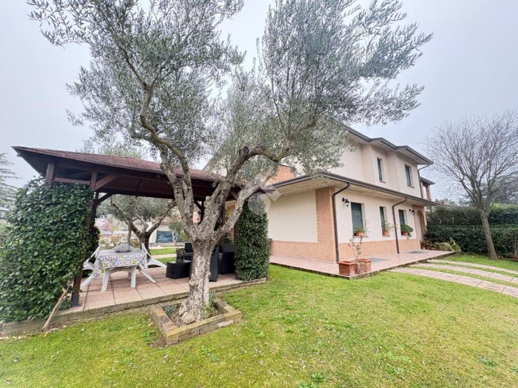 immagine annuncio 4 di 15