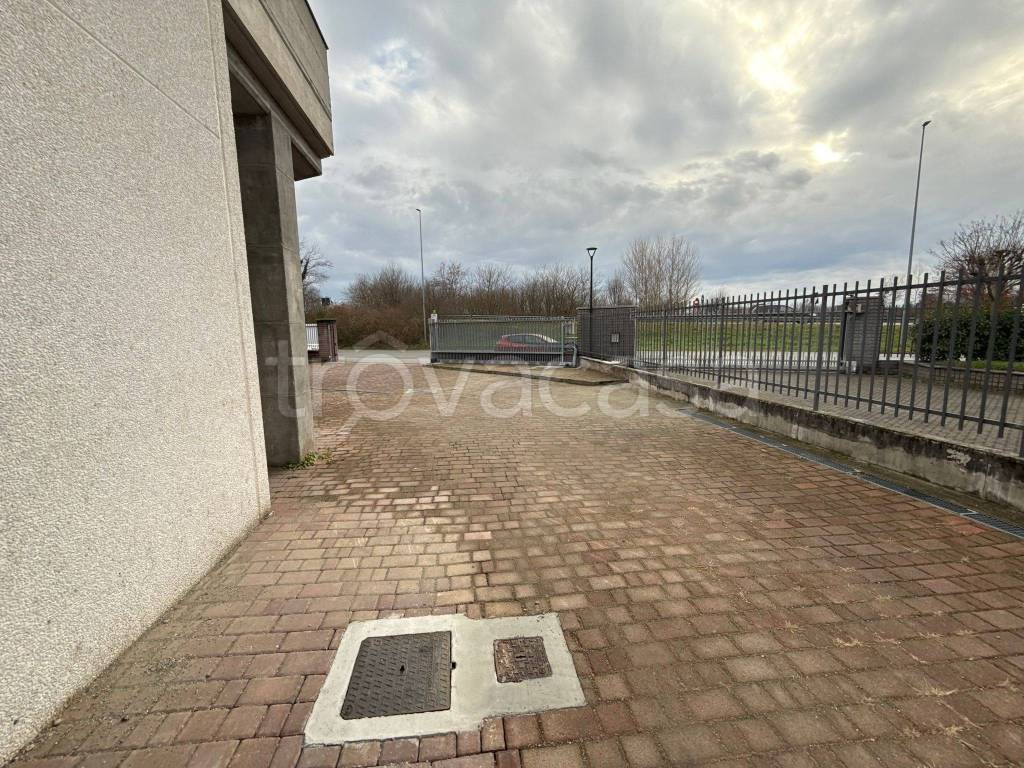 immagine annuncio 4 di 15