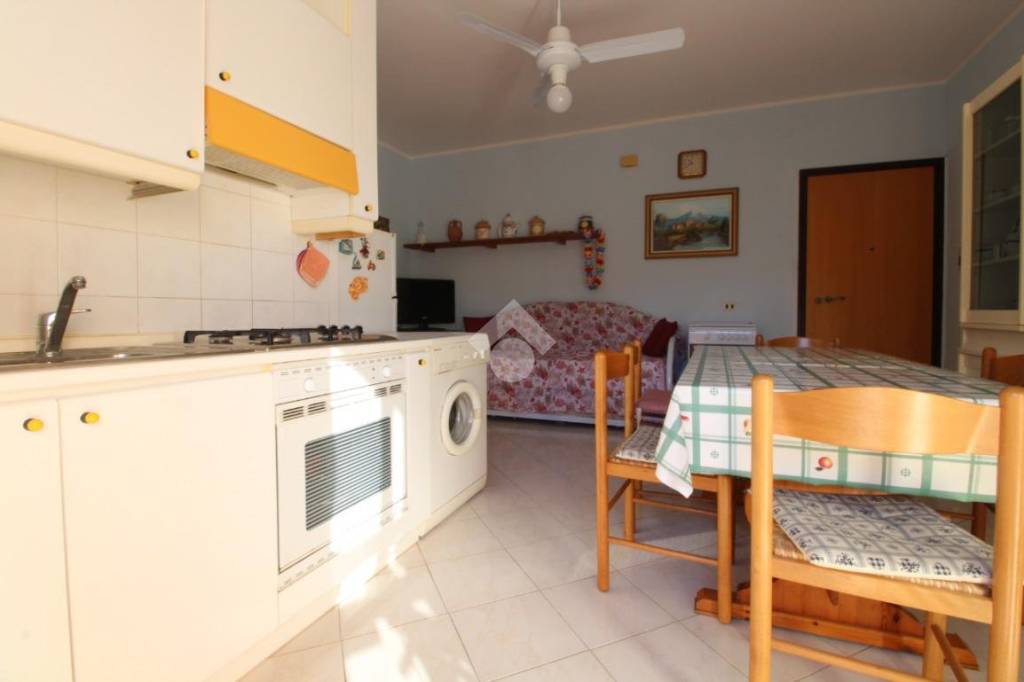 immagine annuncio 7 di 13