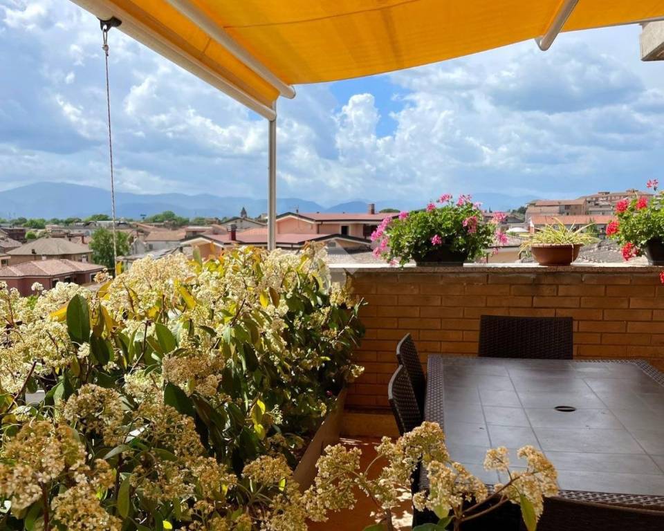 immagine annuncio 11 di 13