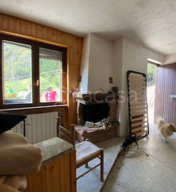 immagine annuncio 8 di 12