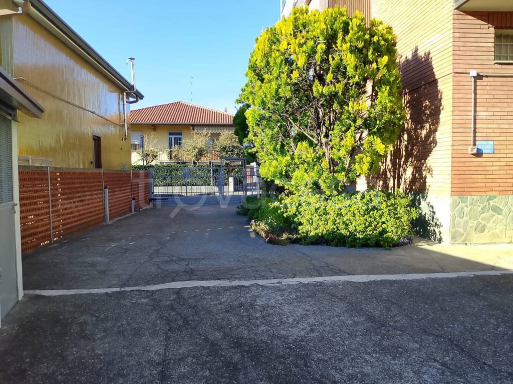 immagine annuncio 1 di 12