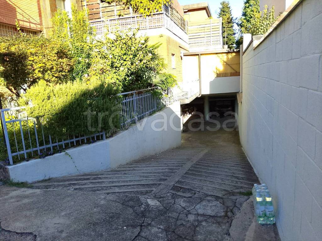 immagine annuncio 11 di 12