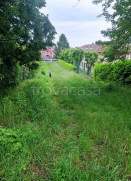 immagine annuncio 6 di 11