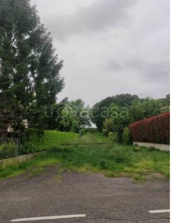 immagine annuncio 7 di 11