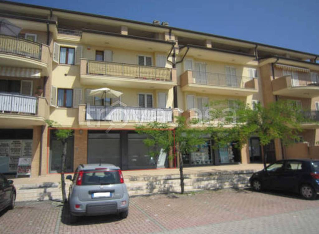 immagine annuncio 9 di 10