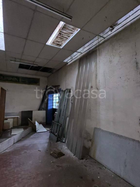 immagine annuncio 4 di 13