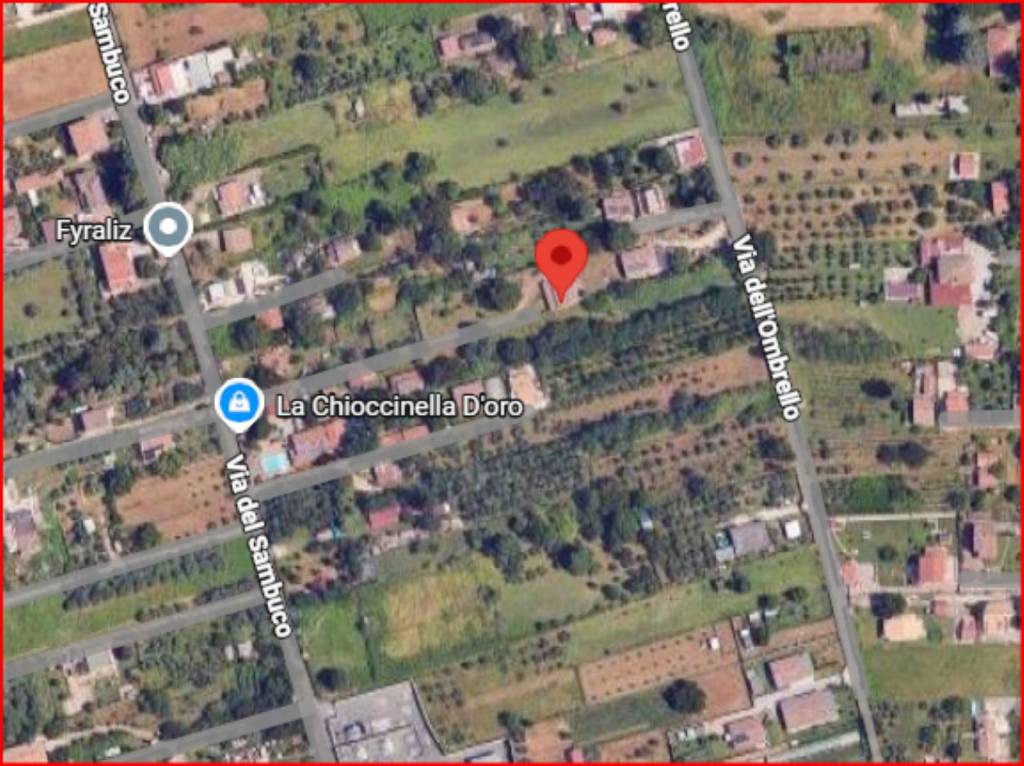 immagine annuncio 10 di 11