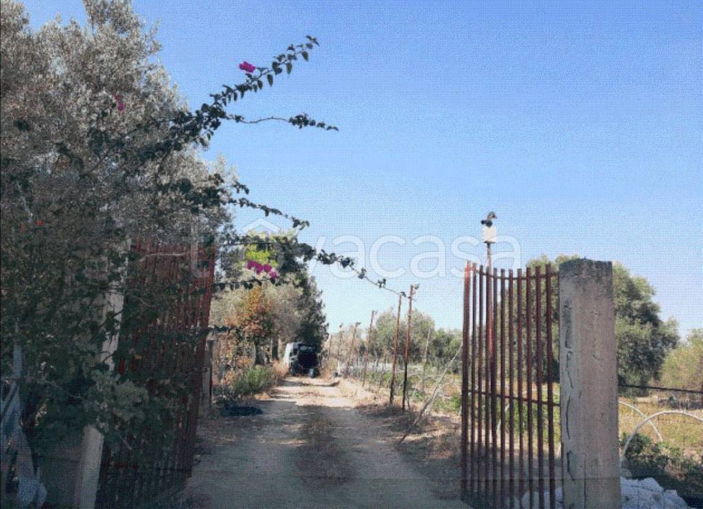 immagine annuncio 11 di 13