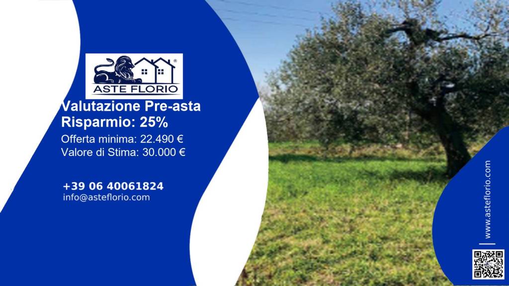 immagine annuncio 1 di 12