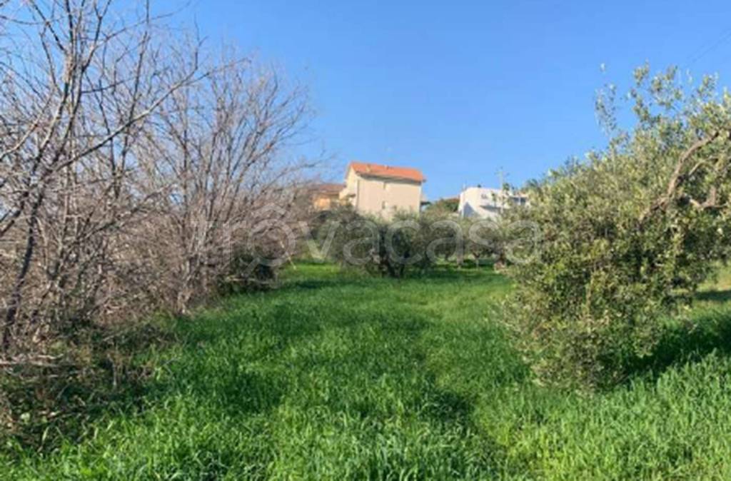 immagine annuncio 3 di 11