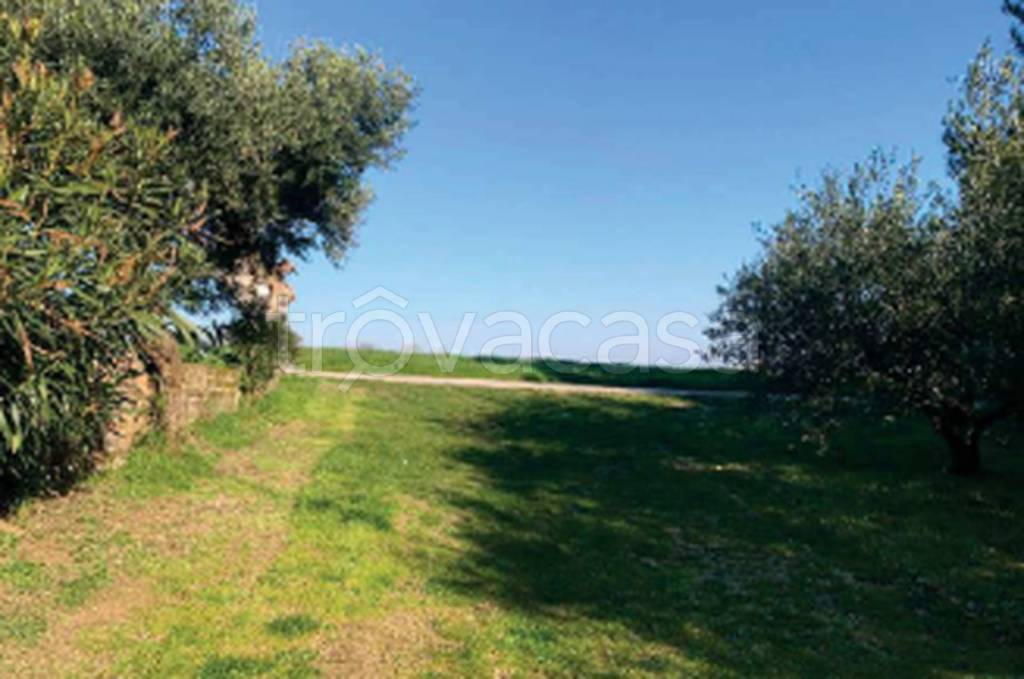 immagine annuncio 8 di 11