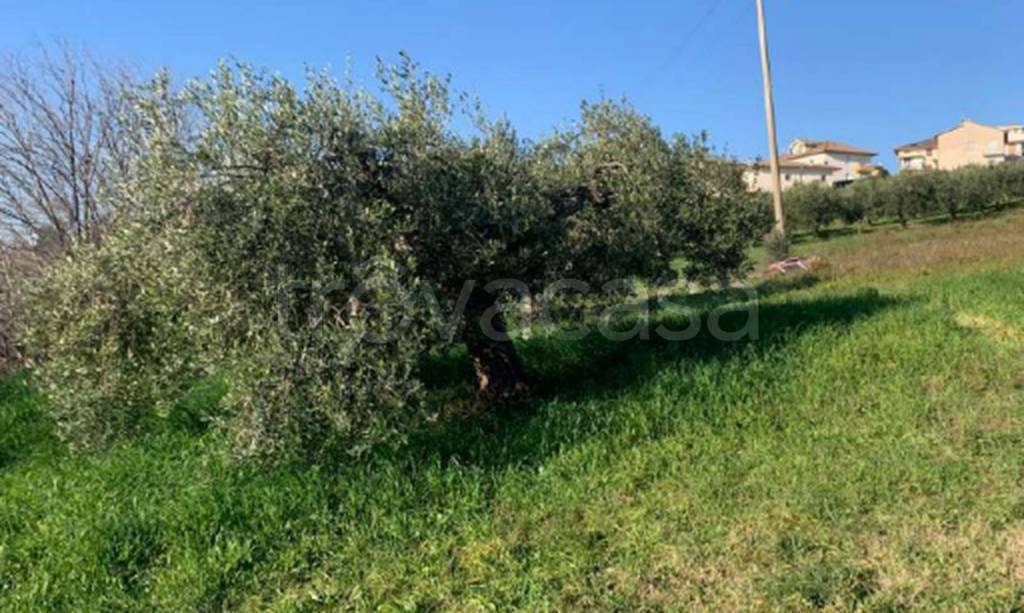 immagine annuncio 9 di 11